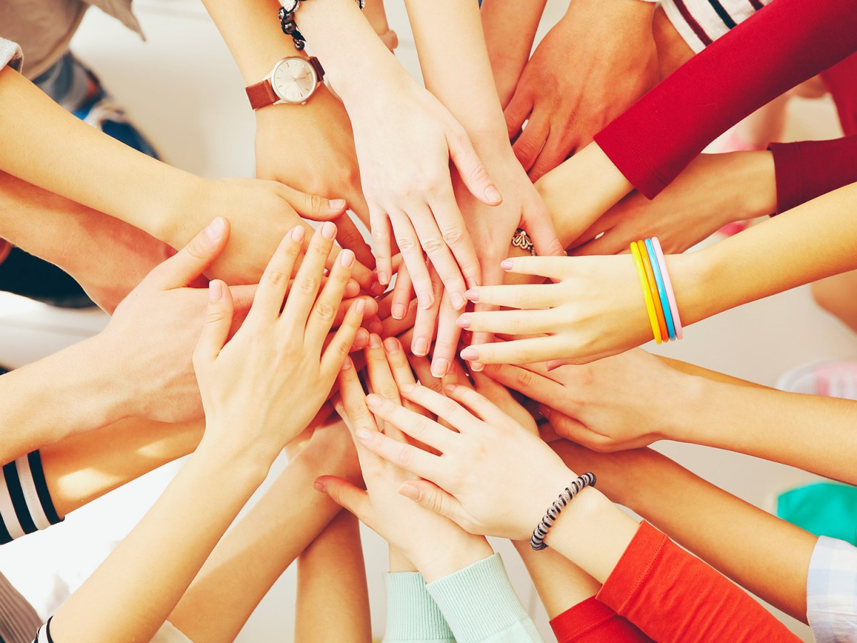 RDV dimanche 29 septembre 2024 pour l&rsquo;accrobranche !